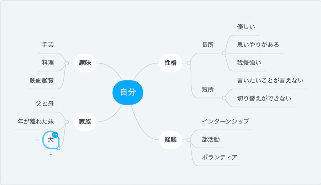 マインドマップ＿マインドマイスター